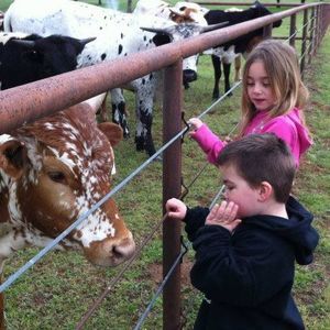 Meet your Posher, Barbara